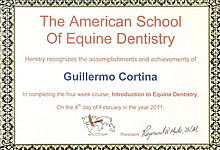 Diploma de veterinario dentista equino