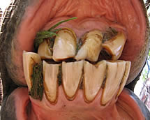 Casos clnicos, Incisos.